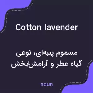 معنی cotton lavender به فارسی