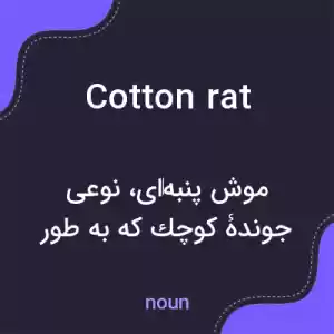 معنی cotton rat به فارسی معنی cotton rat به فارسی