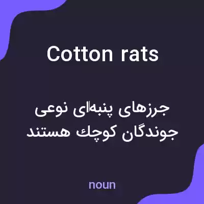 معنی cotton rats به فارسی معنی cotton rats به فارسی