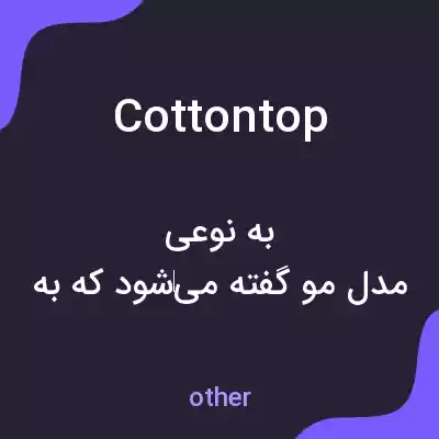 معنی cottontop به فارسی معنی cottontop به فارسی