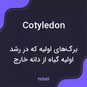 معنی cotyledon به فارسی معنی cotyledon به فارسی