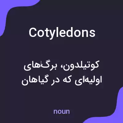 معنی cotyledons به فارسی معنی cotyledons به فارسی