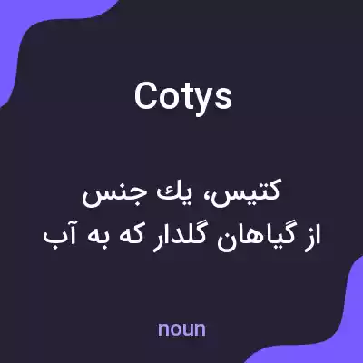 معنی cotys به فارسی معنی cotys به فارسی