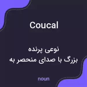 معنی coucal به فارسی معنی coucal به فارسی