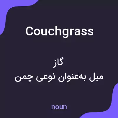معنی couch grass به فارسی معنی couch grass به فارسی