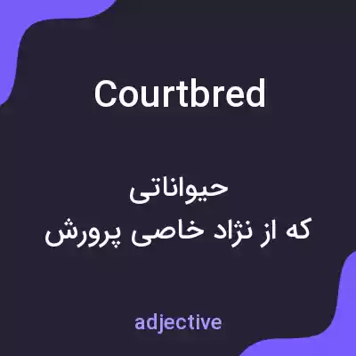 معنی courtbred به فارسی معنی courtbred به فارسی