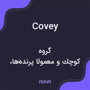 معنی covey به فارسی