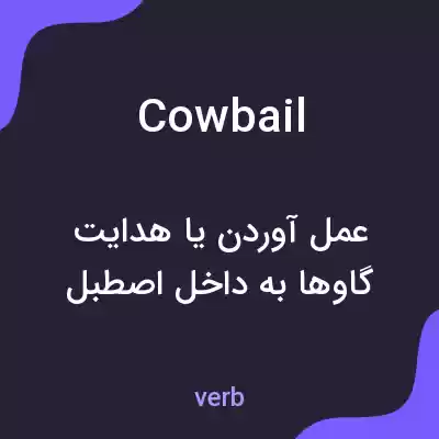 معنی cow bail به فارسی