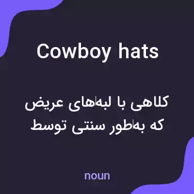 معنی cowboy hats به فارسی معنی cowboy hats به فارسی
