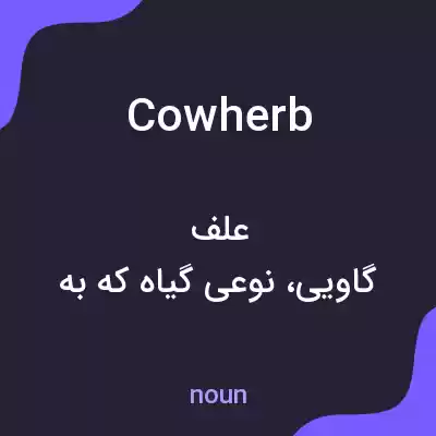 معنی cowherb به فارسی معنی cowherb به فارسی