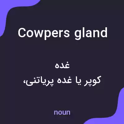 معنی cowpers gland به فارسی معنی cowpers gland به فارسی