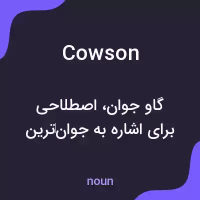 معنی cowson به فارسی معنی cowson به فارسی