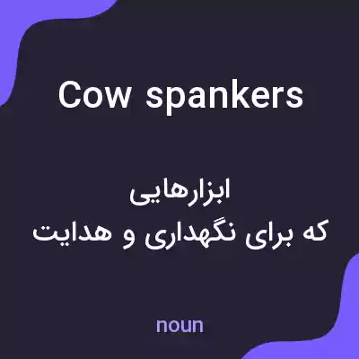معنی cow spankers به فارسی معنی cow spankers به فارسی