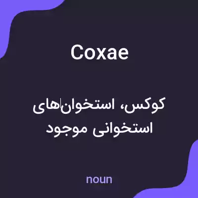 معنی coxae به فارسی معنی coxae به فارسی