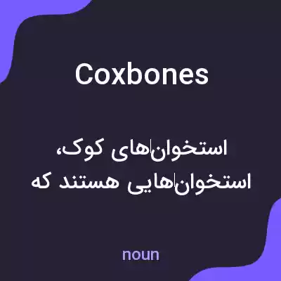 معنی coxbones به فارسی معنی coxbones به فارسی