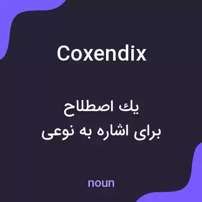 معنی coxendix به فارسی معنی coxendix به فارسی