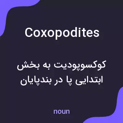 معنی coxopodites به فارسی معنی coxopodites به فارسی
