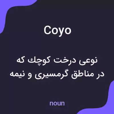 معنی coyo به فارسی معنی coyo به فارسی