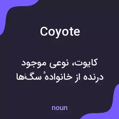 معنی coyote به فارسی