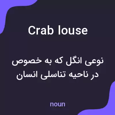معنی crab louse به فارسی معنی crab louse به فارسی