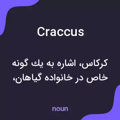 معنی craccus به فارسی معنی craccus به فارسی