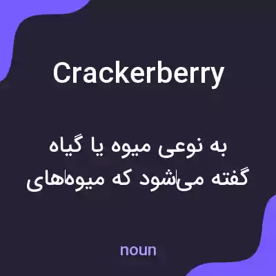 معنی crackerberry به فارسی معنی crackerberry به فارسی