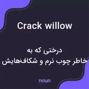 معنی crack willow به فارسی معنی crack willow به فارسی