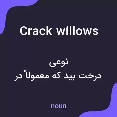 معنی crack willows به فارسی معنی crack willows به فارسی