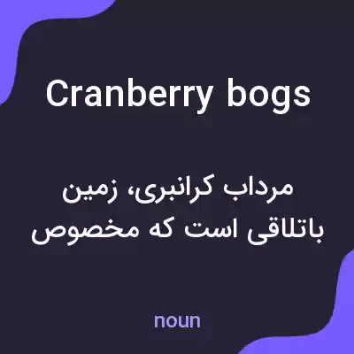 معنی cranberry bogs به فارسی معنی cranberry bogs به فارسی