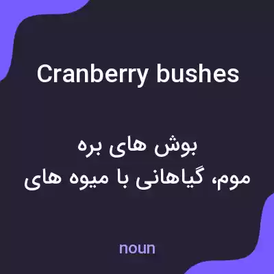 معنی cranberry bushes به فارسی معنی cranberry bushes به فارسی