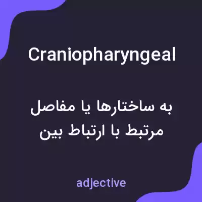 معنی craniopharyngeal به فارسی