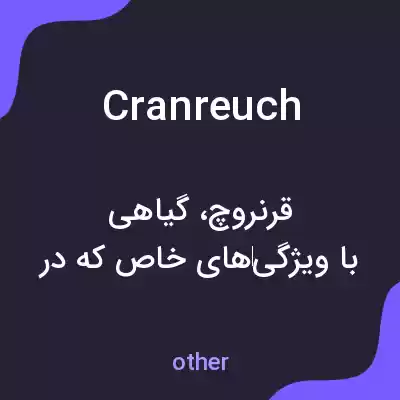 معنی cranreuch به فارسی معنی cranreuch به فارسی