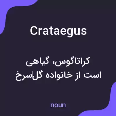 معنی crataegus به فارسی معنی crataegus به فارسی