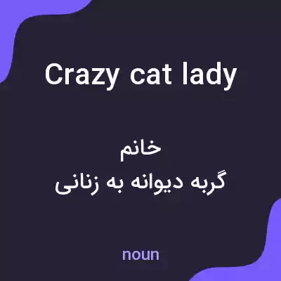 معنی crazy cat lady به فارسی معنی crazy cat lady به فارسی