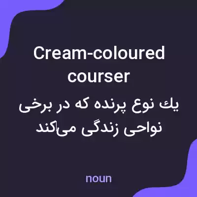 معنی cream-coloured courser به فارسی معنی cream-coloured courser به فارسی