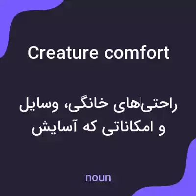 معنی creature comfort به فارسی معنی creature comfort به فارسی