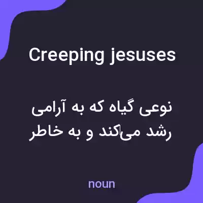 معنی creeping jesuses به فارسی معنی creeping jesuses به فارسی