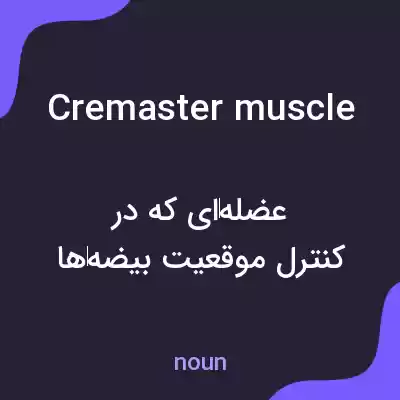 معنی cremaster muscle به فارسی معنی cremaster muscle به فارسی