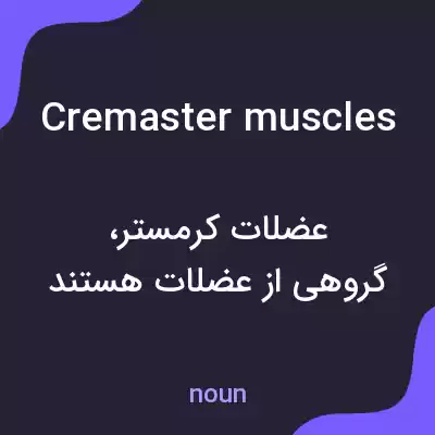 معنی cremaster muscles به فارسی معنی cremaster muscles به فارسی