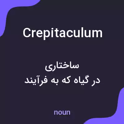 معنی crepitaculum به فارسی معنی crepitaculum به فارسی