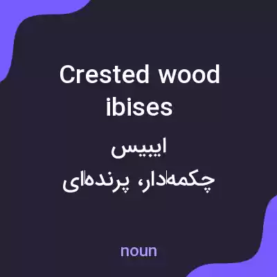 معنی crested wood ibises به فارسی معنی crested wood ibises به فارسی
