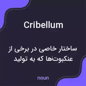معنی cribellum به فارسی معنی cribellum به فارسی