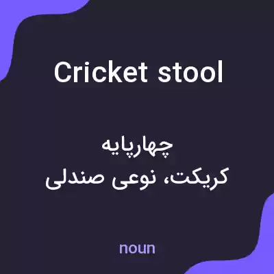 معنی cricket stool به فارسی معنی cricket stool به فارسی