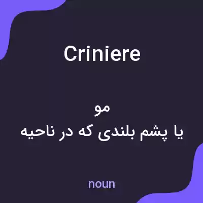 معنی criniere به فارسی معنی criniere به فارسی