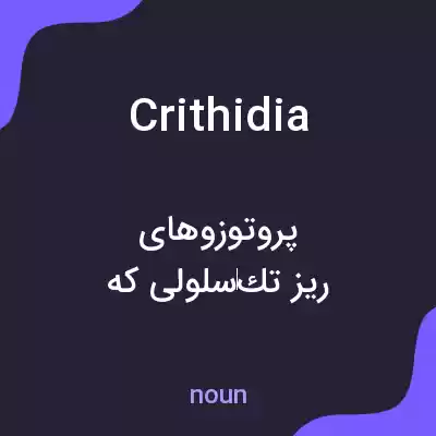 معنی crithidia به فارسی معنی crithidia به فارسی
