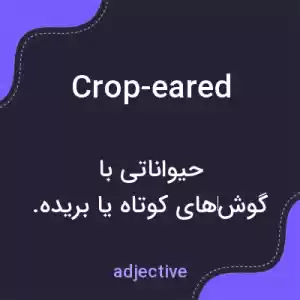 معنی crop-eared به فارسی معنی crop-eared به فارسی