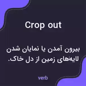 معنی crop out به فارسی
