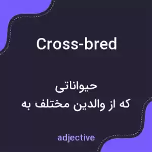 معنی cross-bred به فارسی