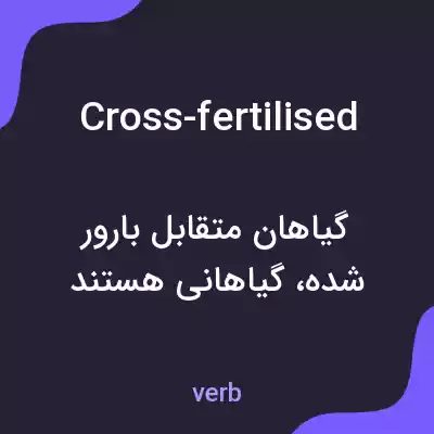 معنی cross-fertilised به فارسی معنی cross-fertilised به فارسی