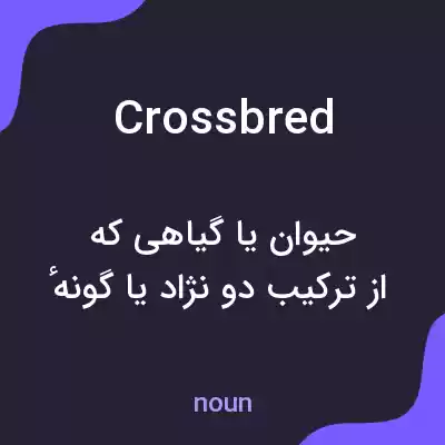 معنی crossbred به فارسی معنی crossbred به فارسی